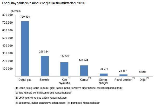 enerji-istatistik
